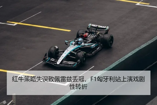 hong-niu-ce-lve-shi-wu-zhi-pei-lei-zi-diu-guan-xiong-ya-li-zhan-shang-yan-xi-ju-xing-zhuan-zhe-3-244.jpg