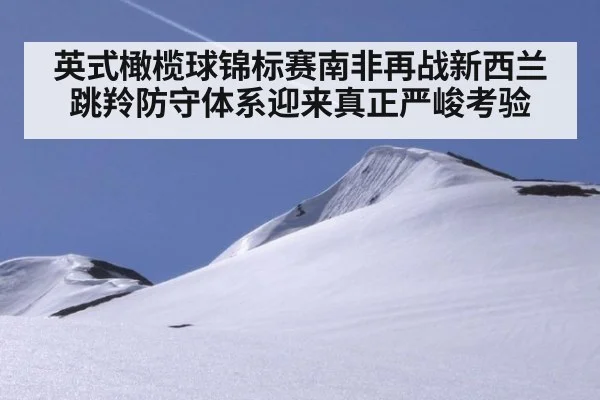 英式橄榄球锦标赛南非再战新西兰 跳羚防守体系迎来真正严峻考验