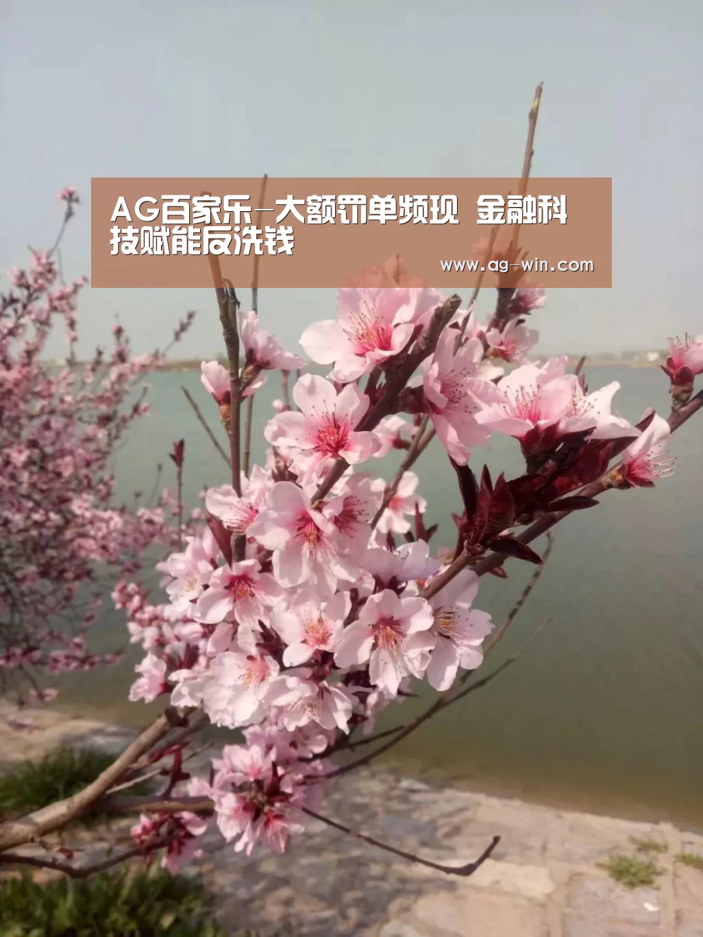 AG官网