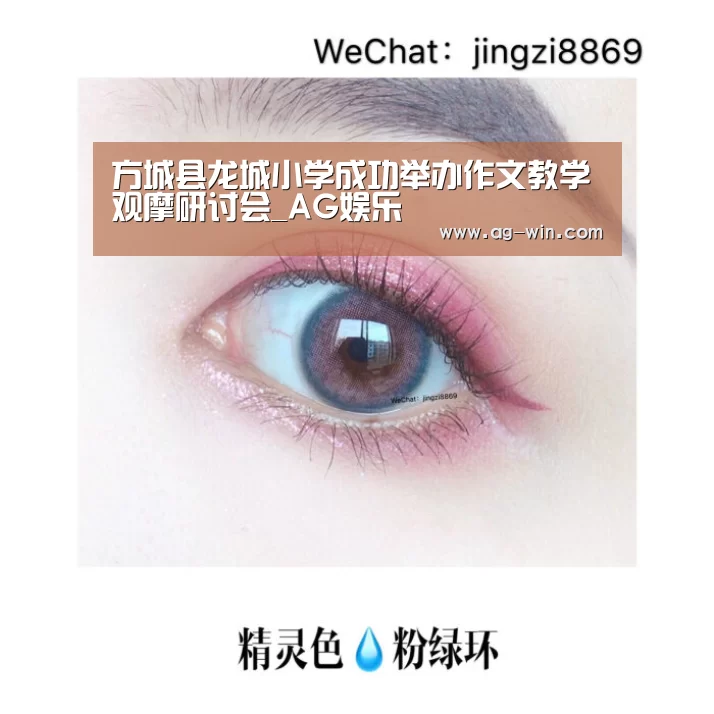 方城县龙城小学成功举办作文教学观摩研讨会_AG娱乐(图4) AG百家乐